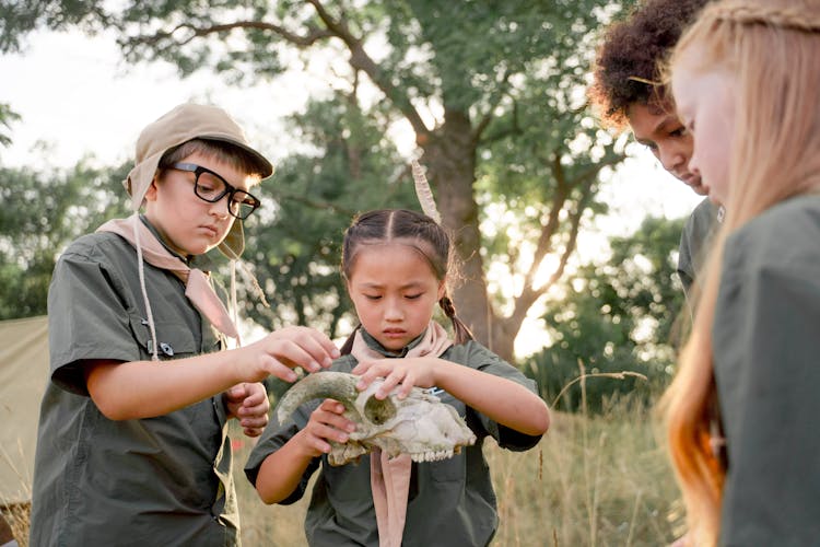 Group Of Children Looking At  Animal Skull 