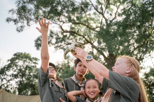 Free Group of children at a summer camp discovering an animal skull, embracing adventure and learning in nature. Stock Photo
