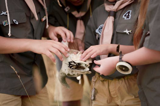 Children in scout uniforms examine an animal skull during an outdoor adventure.