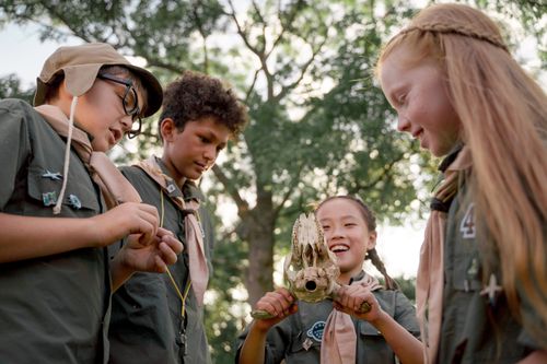 Free Group of scouts exploring nature, holding an animal skull in the forest. Stock Photo
