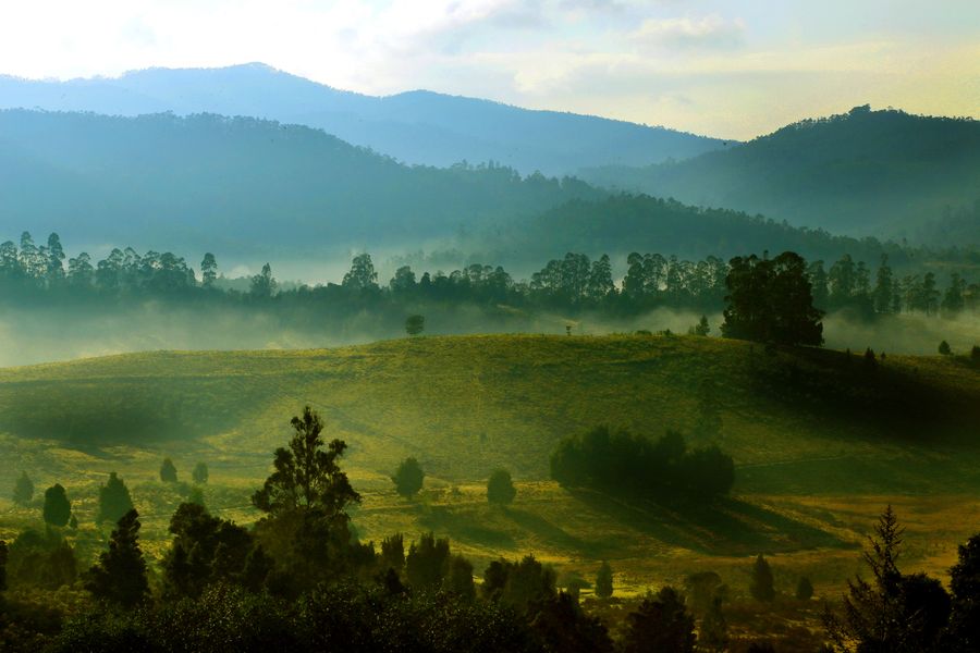 Kodaikanal photo 8