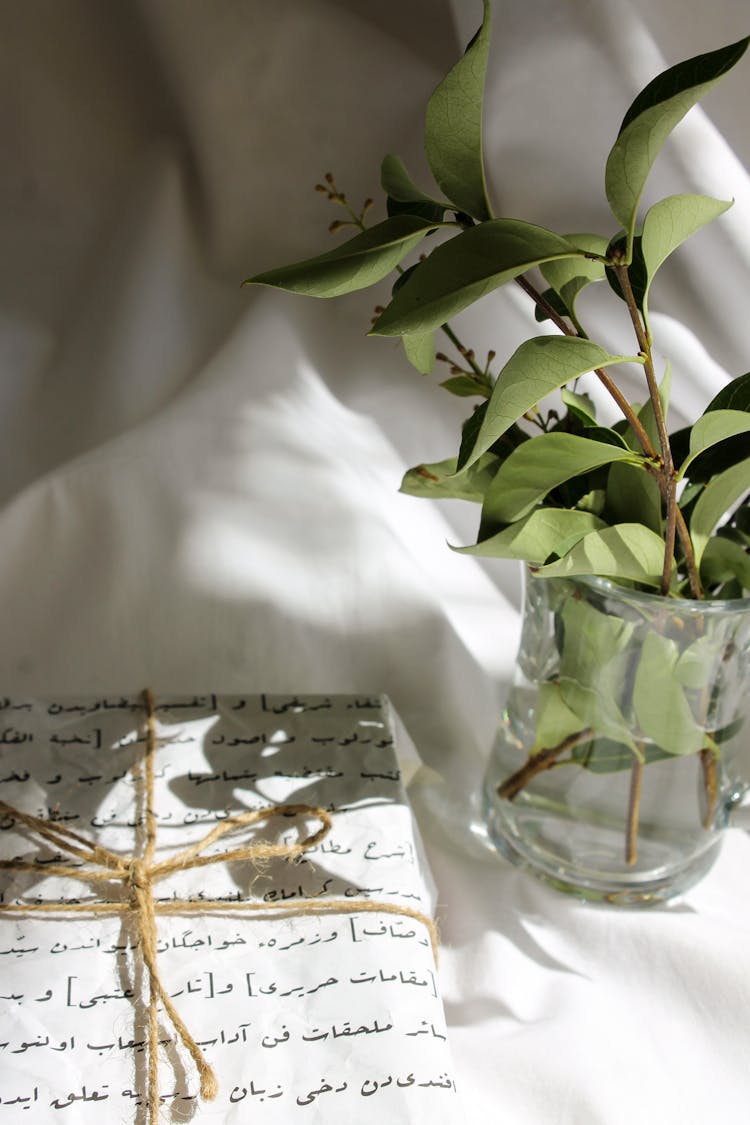 Page In Arabic And Plant In Glass