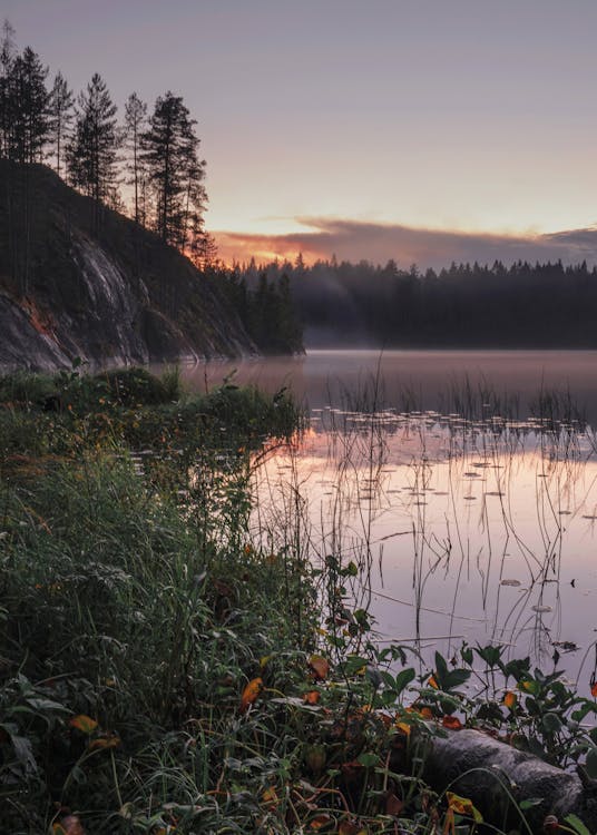 Základová fotografie zdarma na téma bazén, dřevo, idylický