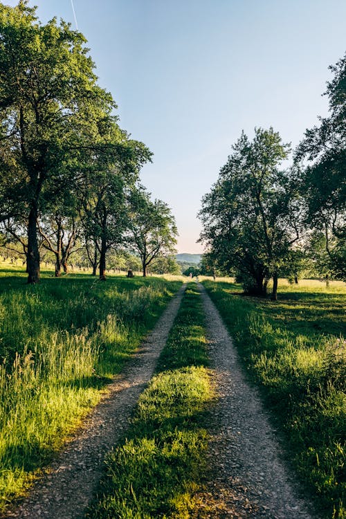 Základová fotografie zdarma na téma cesta, denní světlo, koleje