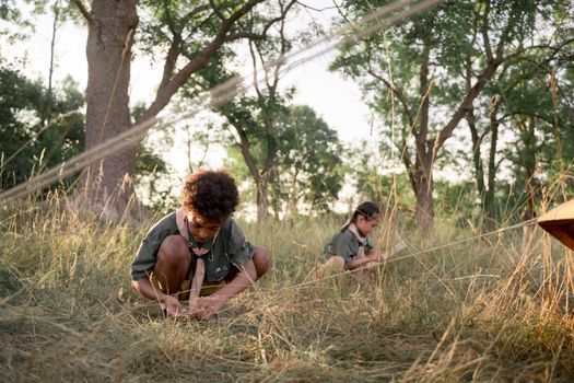 Free stock photo of adult, boy, camping