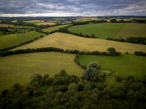 Aerial Shot of Green Grass Field Under the Cloudy Sky