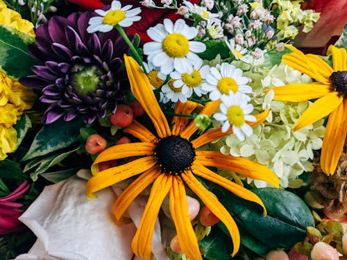 Gratuit Imagine de stoc gratuită din a închide, aranjament floral, asortat Fotografie de stoc