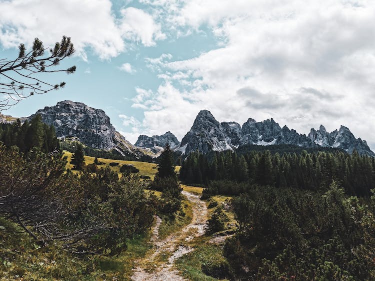 Landscape Of A Trail, Conifer Forest And Rocky Mountains 