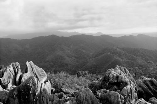 Foto En Escala De Grises De La Montaña