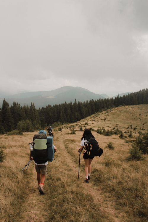 Free A group of backpackers hiking through a lush mountain trail on a cloudy day. Stock Photo