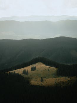 Aerial view of foggy mountain ranges with lush green forests and open meadows.