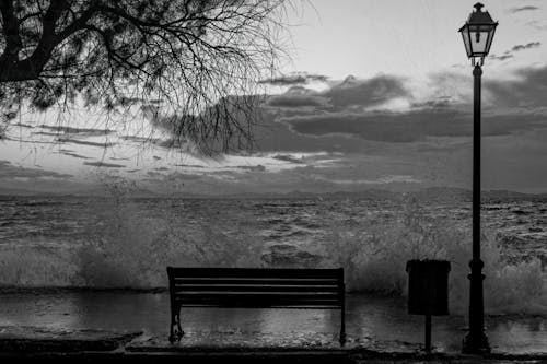 Grayscale Photo of Seaside