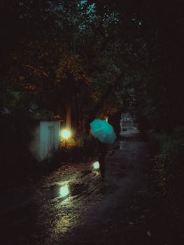 A person walks on a wet path holding an umbrella at night, with atmospheric lighting and reflections.