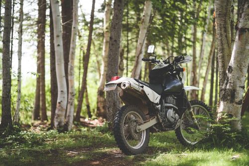 Free A rugged motorcycle parked among tall trees in a peaceful forest, ideal for adventure seekers. Stock Photo
