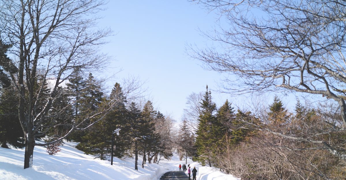 北海道ボールパークFビレッジ的旅遊攻略與景點推薦 北海道ボールパークFビレッジ的旅遊攻略與景點推薦