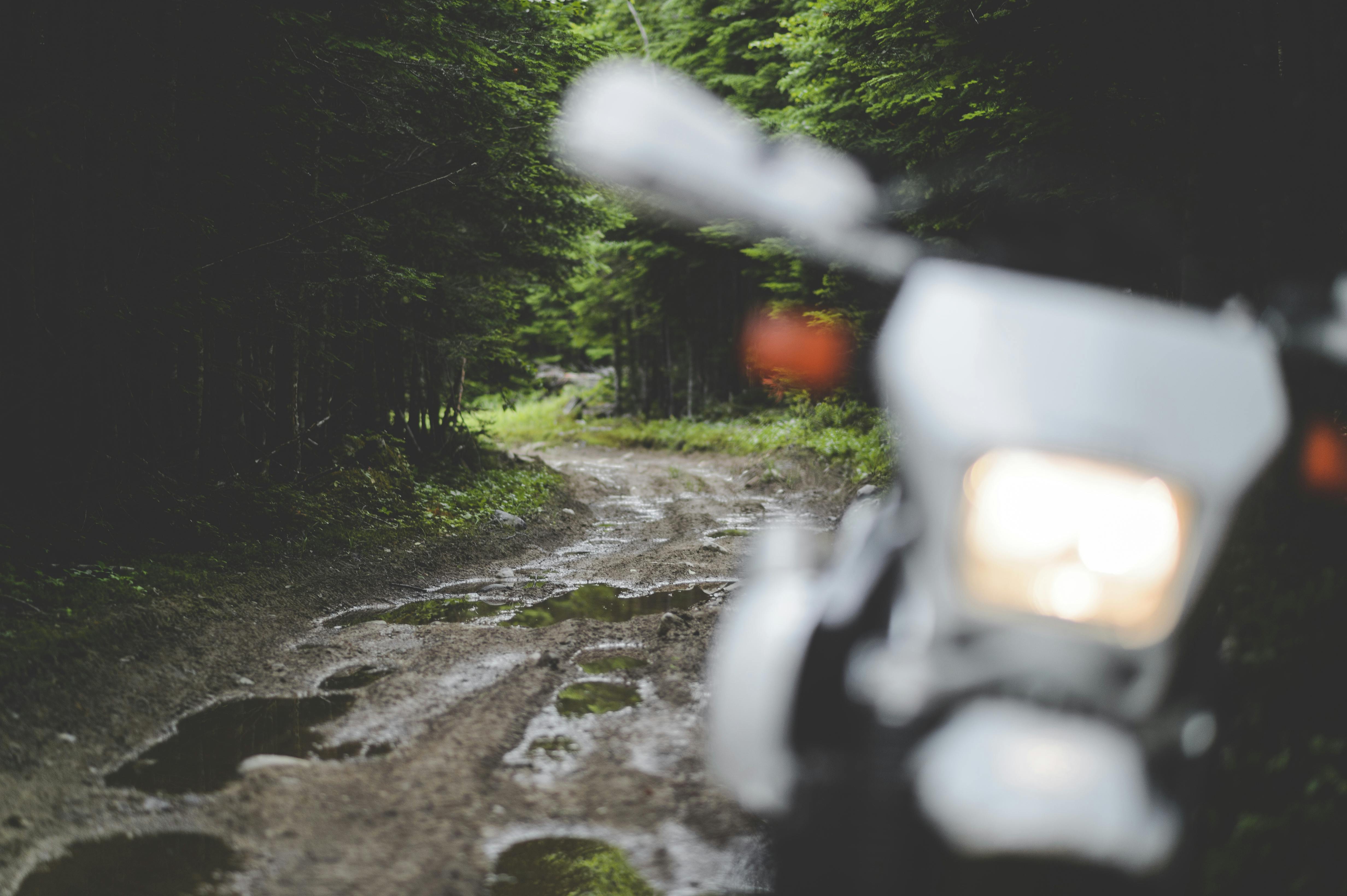 A motorbike parked on a dirt road amidst a lush forest with puddles, suggesting recent rain.
