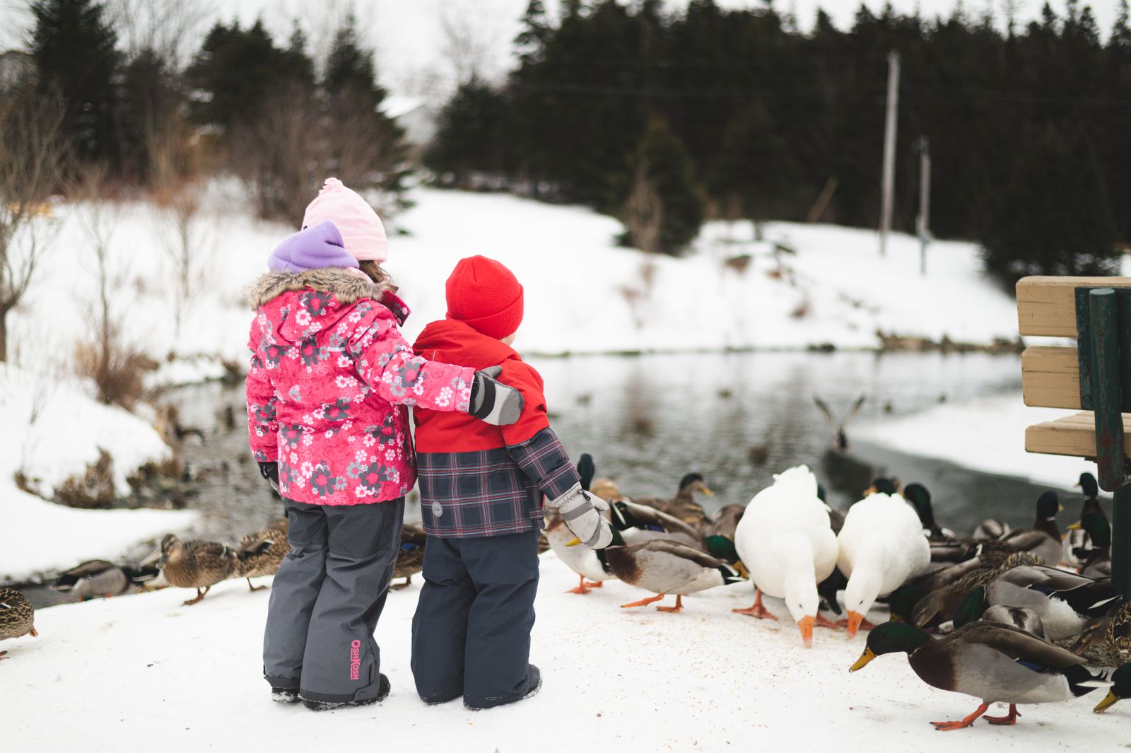 Thinking of Raising Kids in Ottawa? Read This First. (2026 Parent Guide)