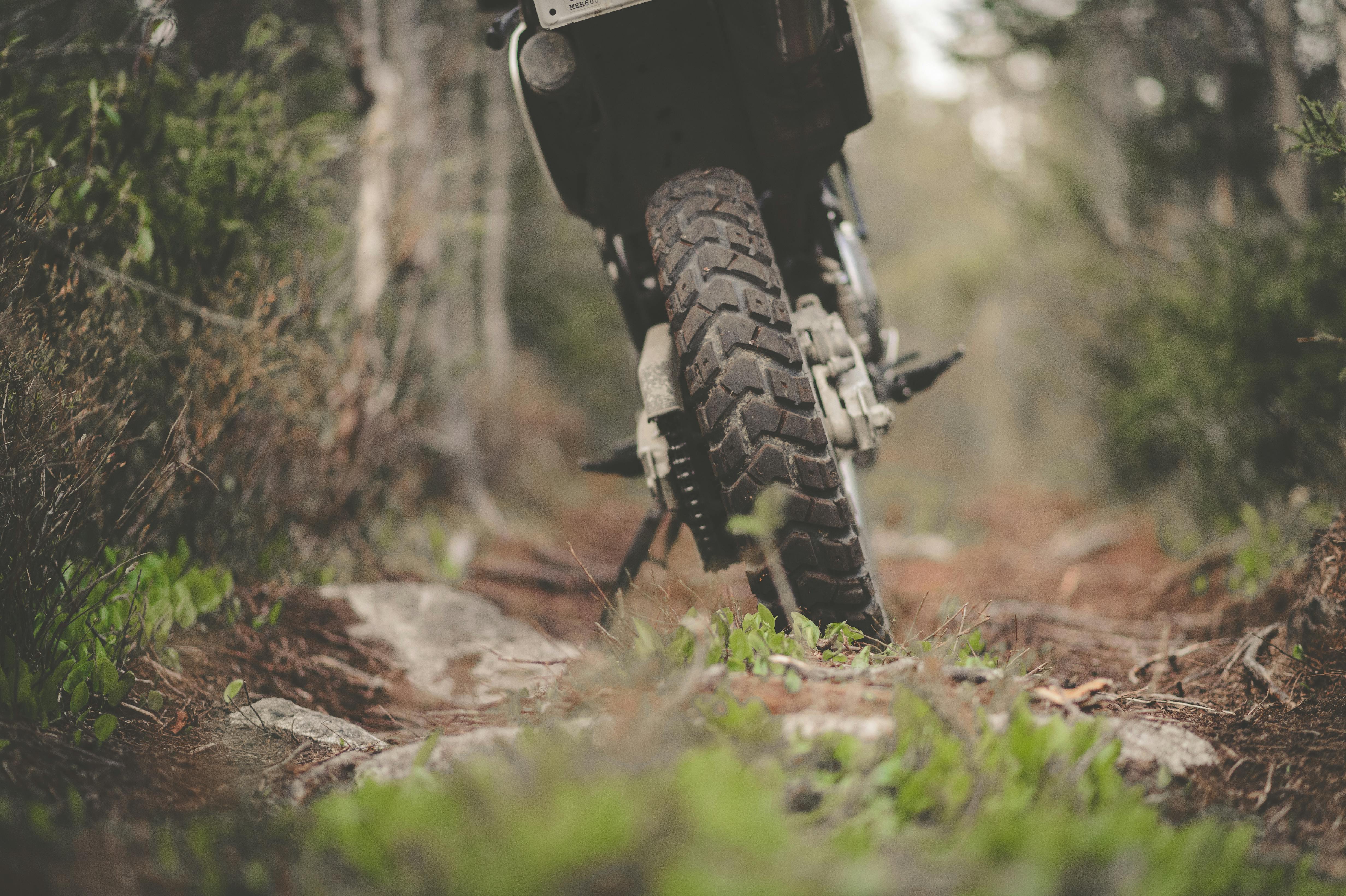 Close-up of a motorcycle tire on a rugged forest trail, showcasing adventure and exploration.