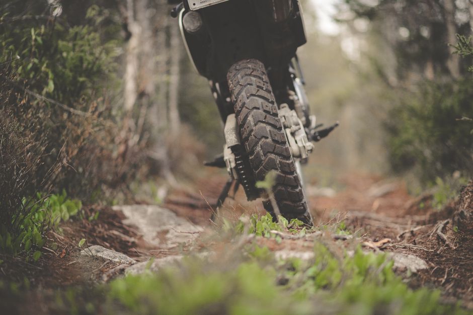 Close-up of a motorcycle tire on a rugged forest trail, showcasing adventure and exploration.