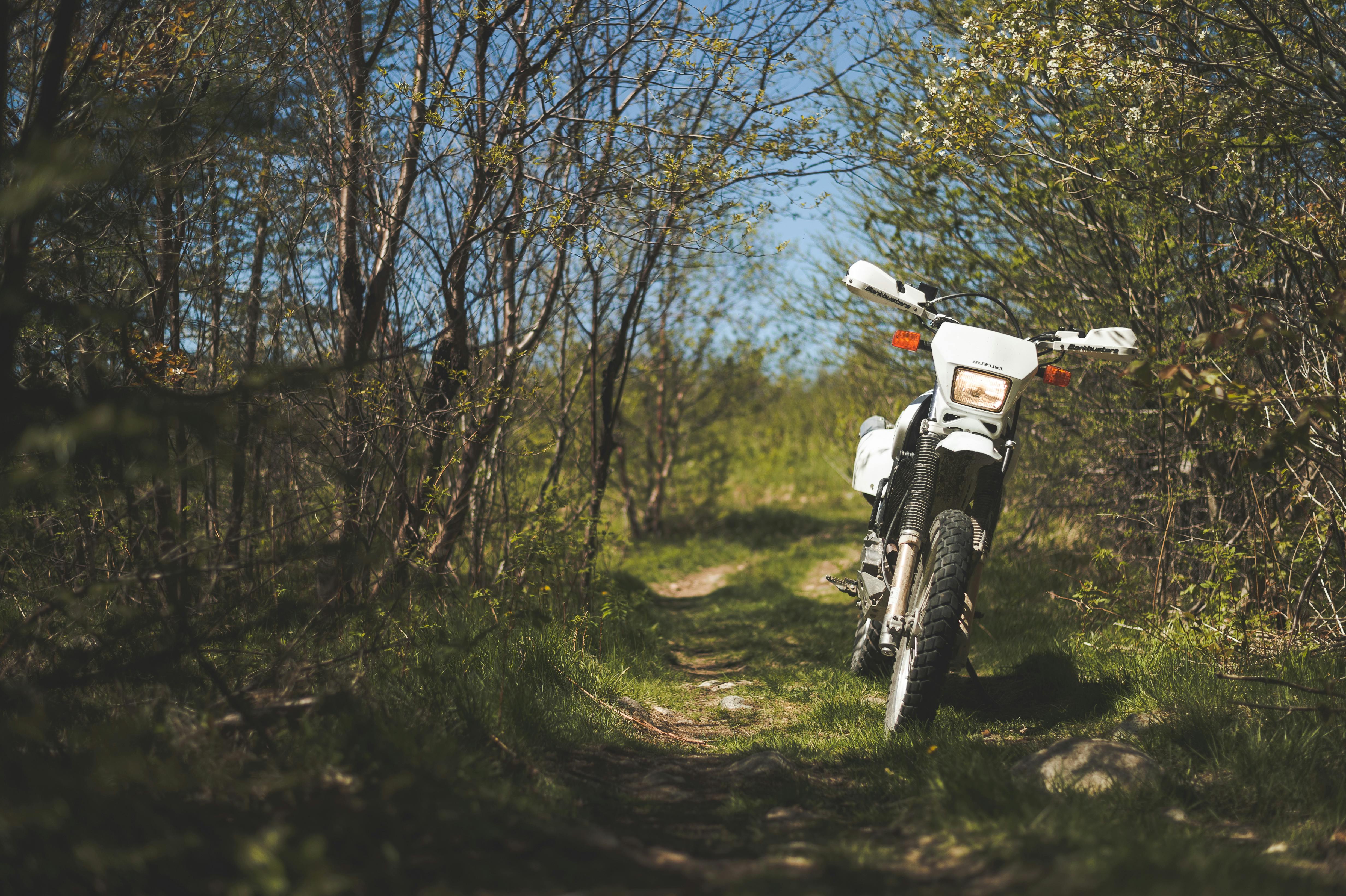 A white motorcycle on a forest path, showcasing adventure and exploration in a lush spring setting.