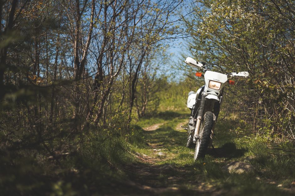 A white motorcycle on a forest path, showcasing adventure and exploration in a lush spring setting.