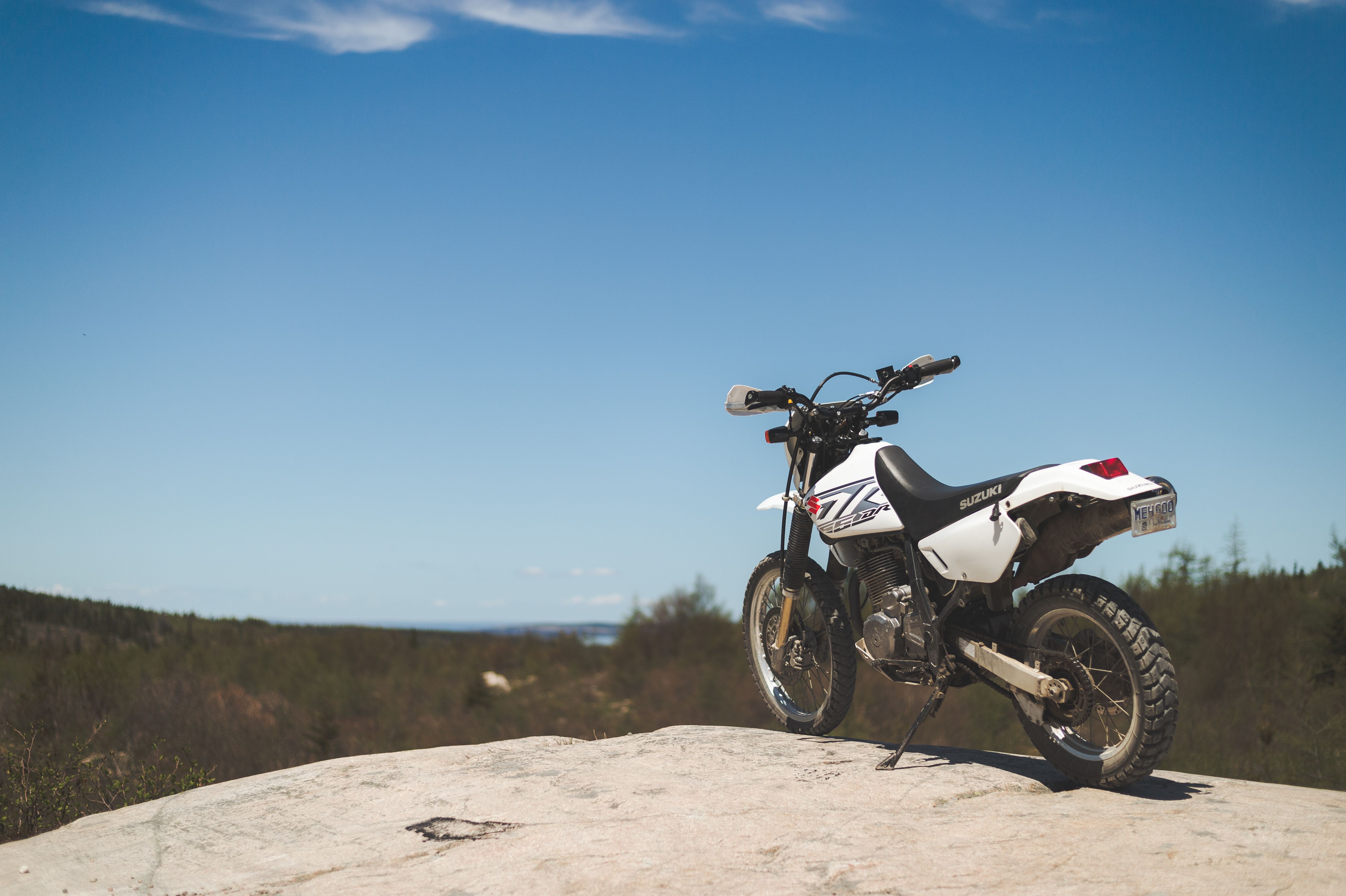 Suzuki GSX250R Variable Valve Lift and Other Updates