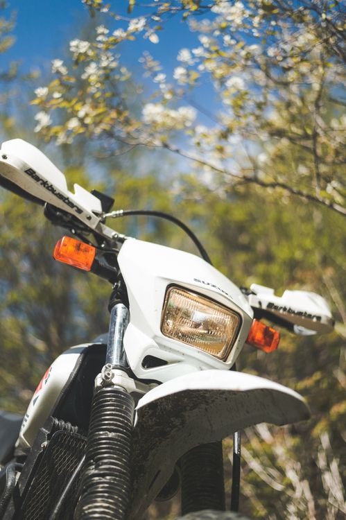 Spring Over Tree Motorcycle Motorcycle Parked under Blooming Tree · Free Stock Photo