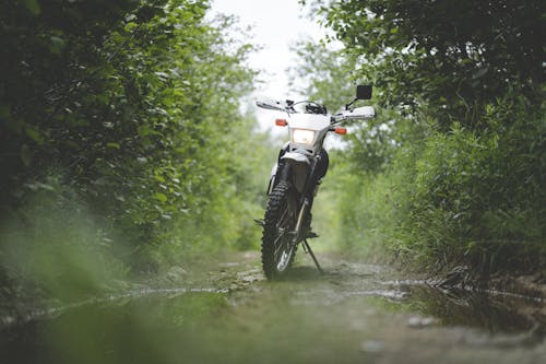 A Motorcycle Parked Between Green Trees