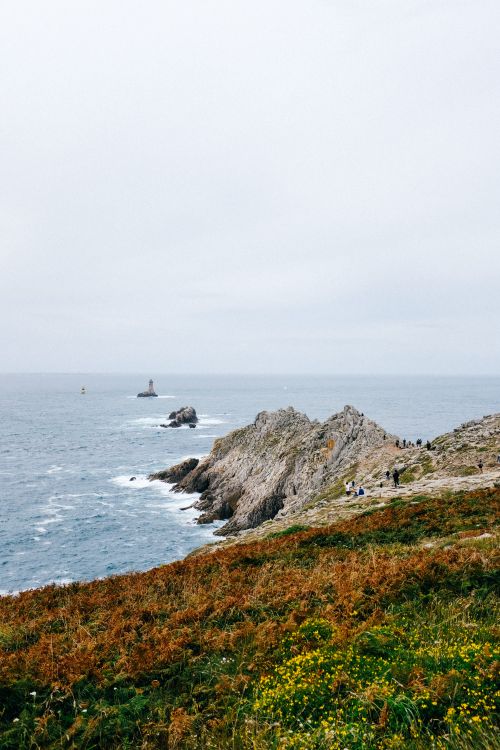 Free Breathtaking coastal scene with rugged cliffs, wildflowers, and expansive ocean under a cloudy sky. Stock Photo