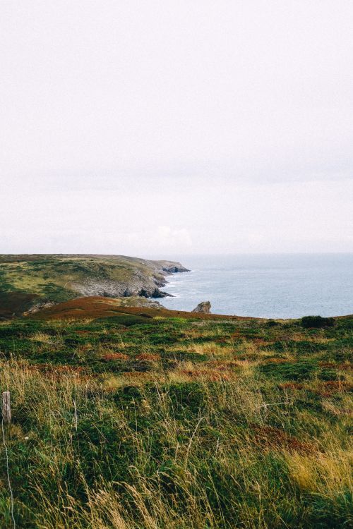 Free A serene view of grassy cliffs meeting the ocean under an expansive sky. Stock Photo