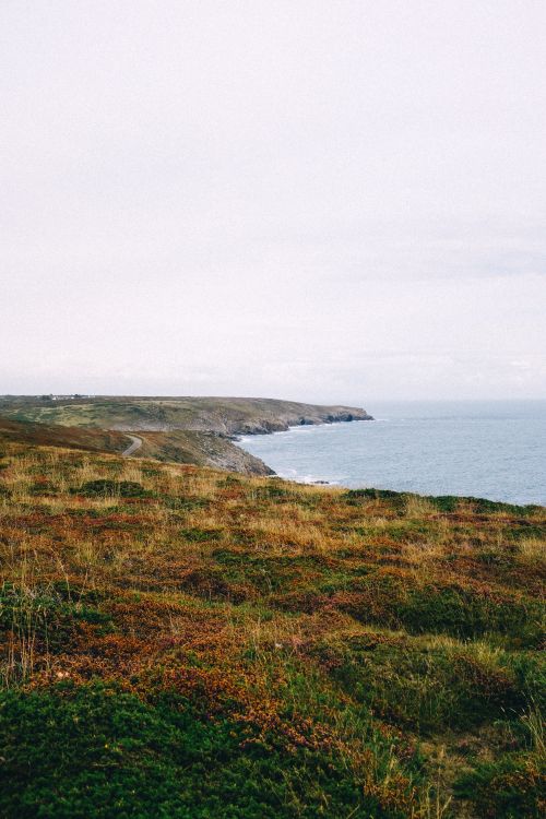 Free Beautiful coastal landscape featuring grassy terrain and cliffs meeting the ocean. Stock Photo