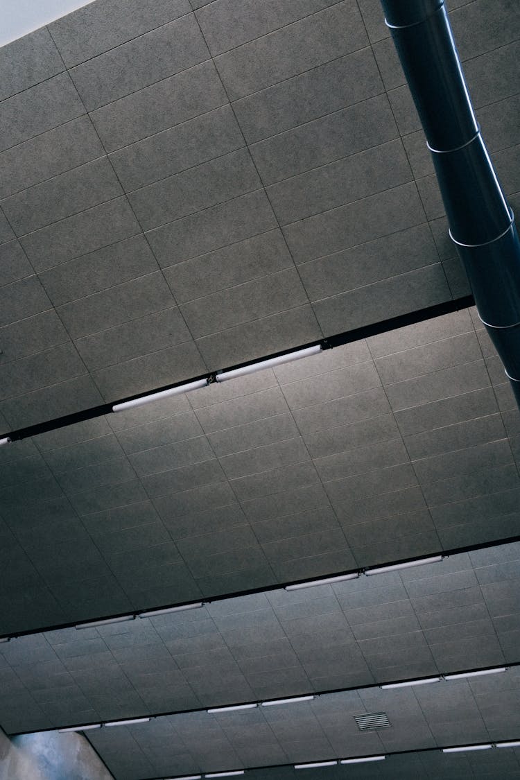 A Ceiling With Panels