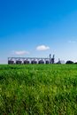 Green Grass Field Under Blue Sky