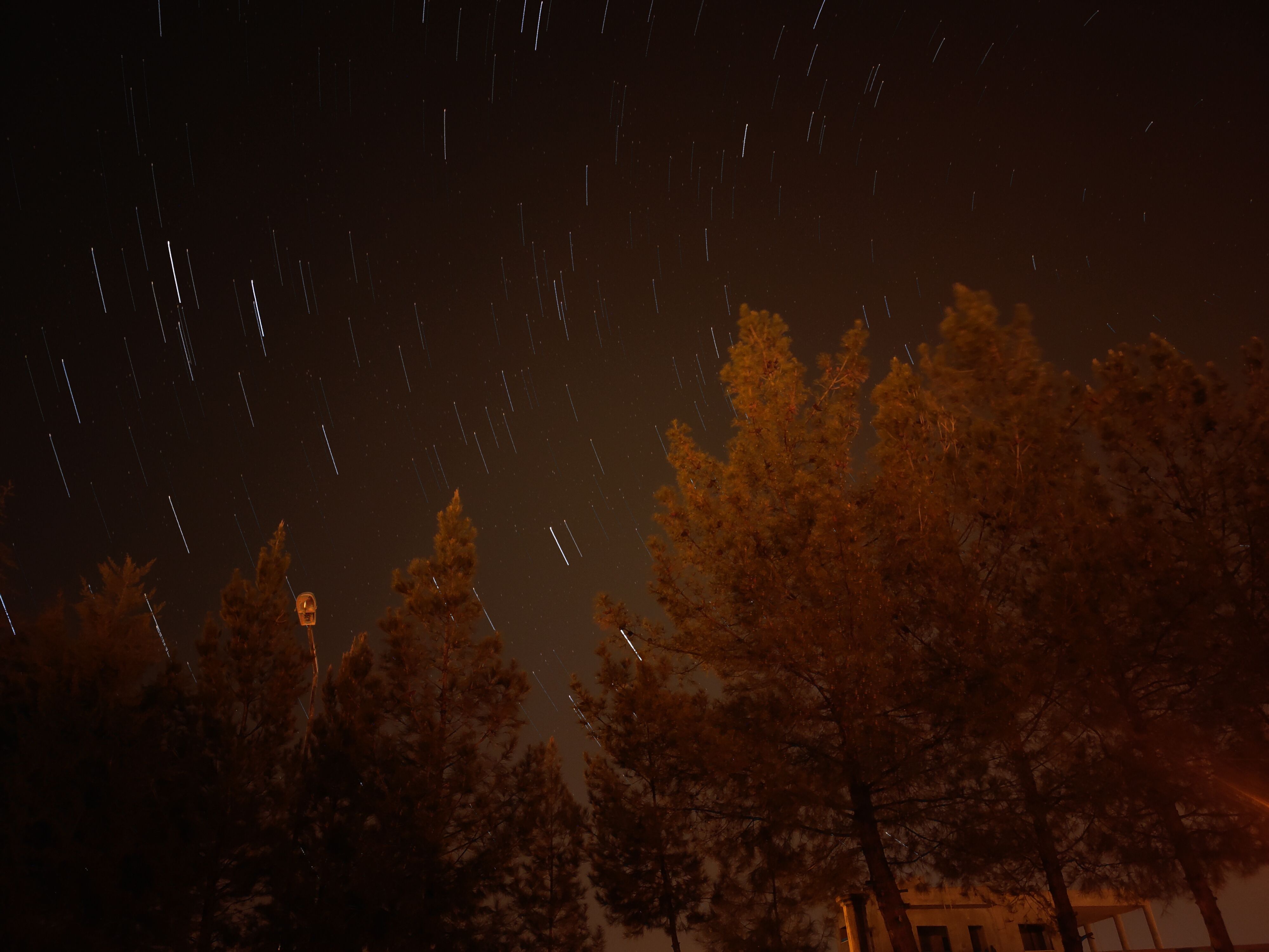 Beautiful long exposure of star trails over trees at night.