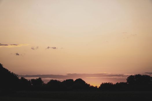 A calming sunset with silhouetted trees against an orange sky, capturing a peaceful moment.