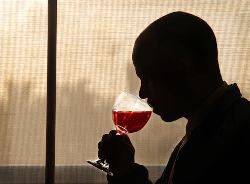 Silhouette of Man Holding Wine Glass