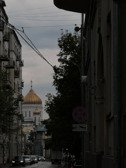 White and Brown Dome Building