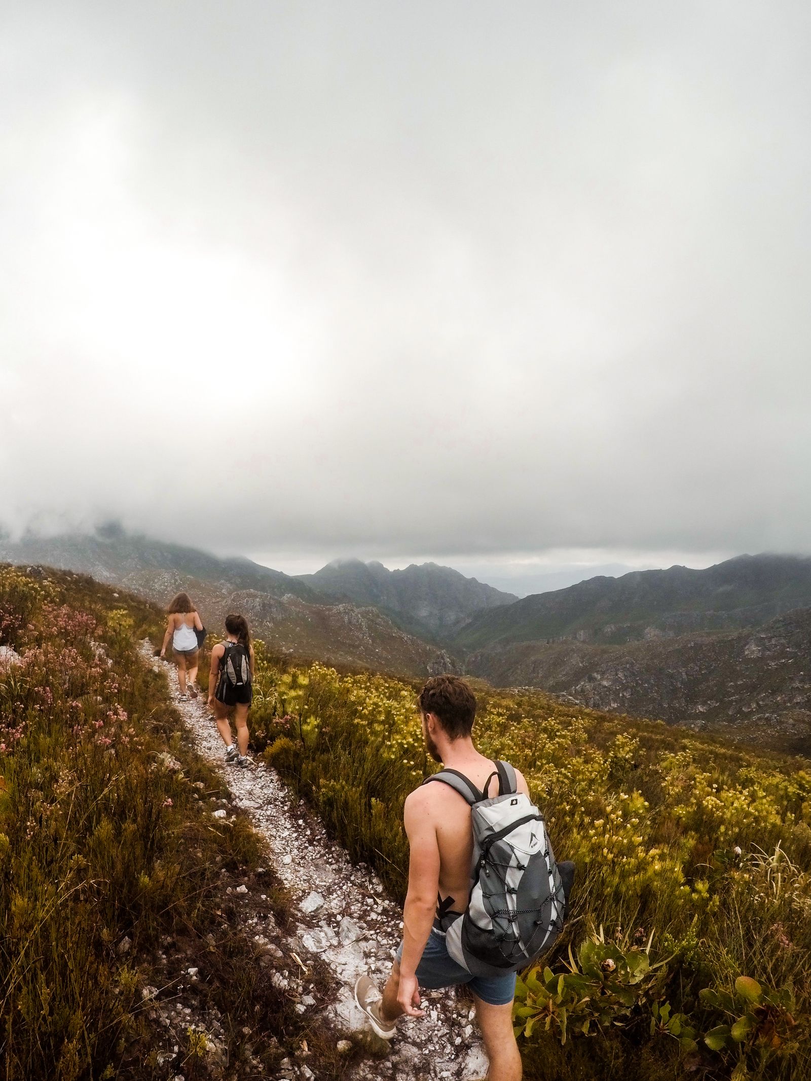 A group of hikers walking together on a green mountain trail