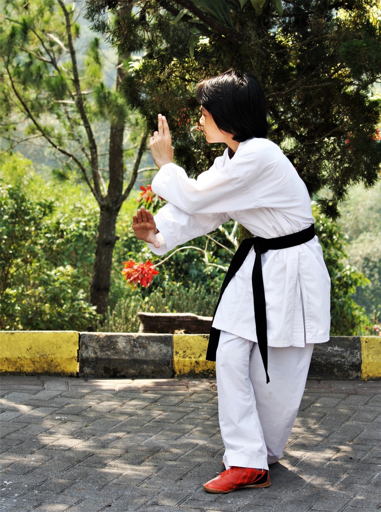 Defensive Stance Photos, Download The BEST Free Defensive Stance Stock ...