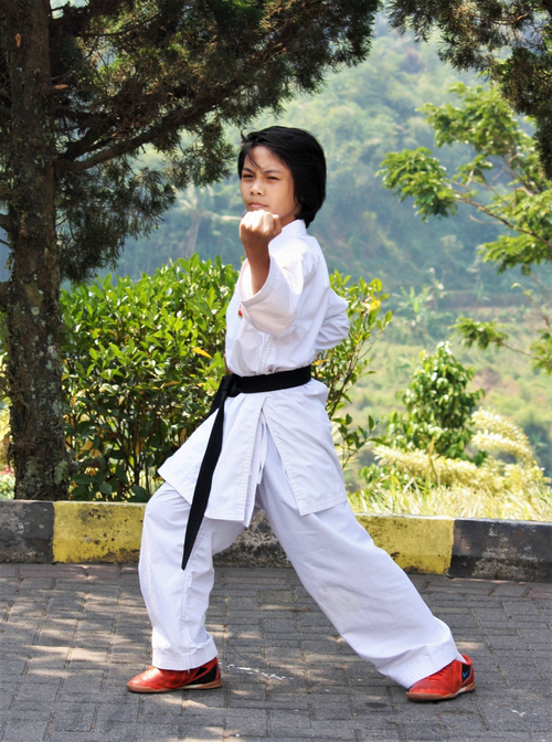 Free A young martial artist showcases a taekwondo pose outdoors on a sunny day. Stock Photo