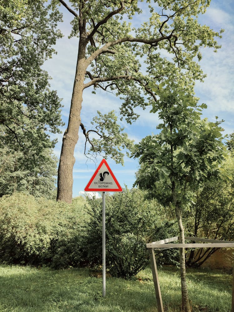 A Signage In The Park Near The Tree