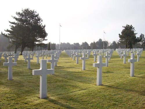 Free D Day Cemetery Stock Photo