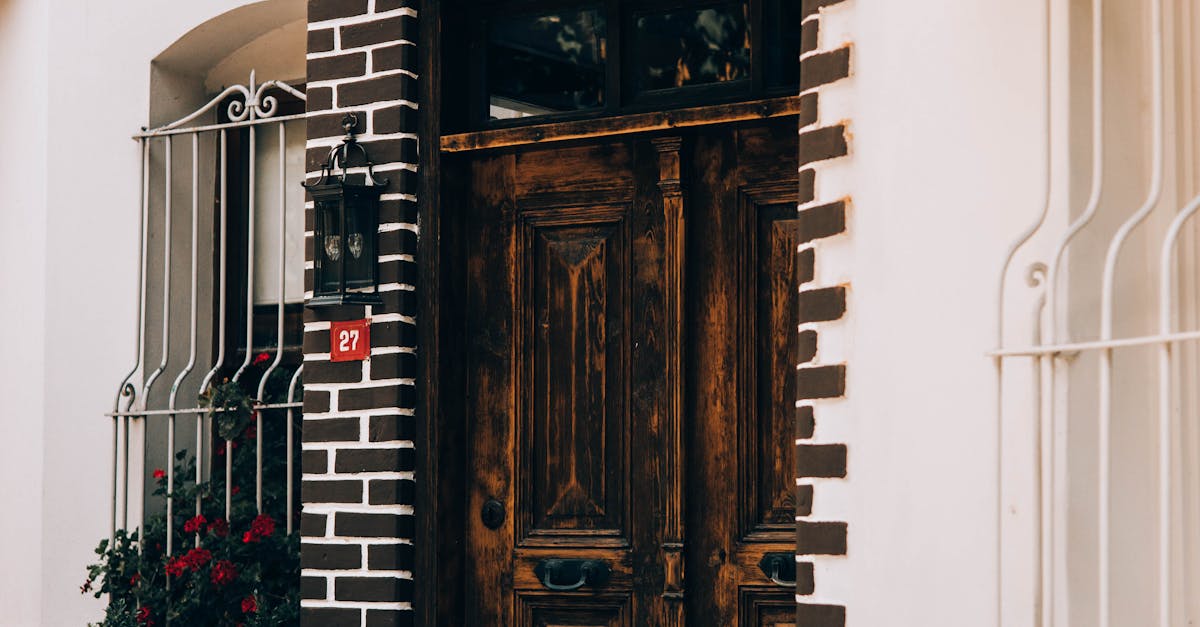 How to stop wasps making nests