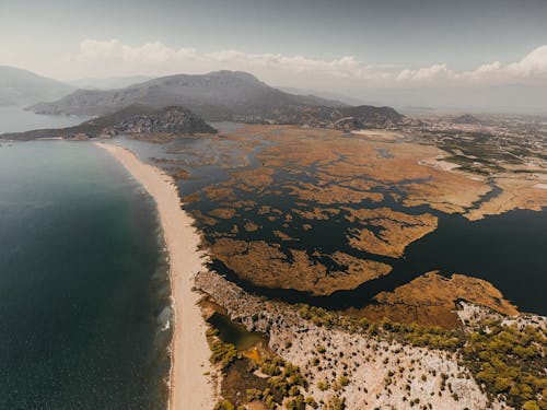 Aerial View of a Landscape Surrounded by Water