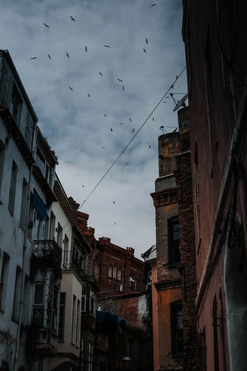 Free A flock of birds soaring above an old city's narrow street and buildings. Stock Photo