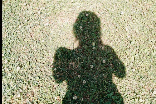 Kostnadsfri bild av gräs, högvinkelskott, person