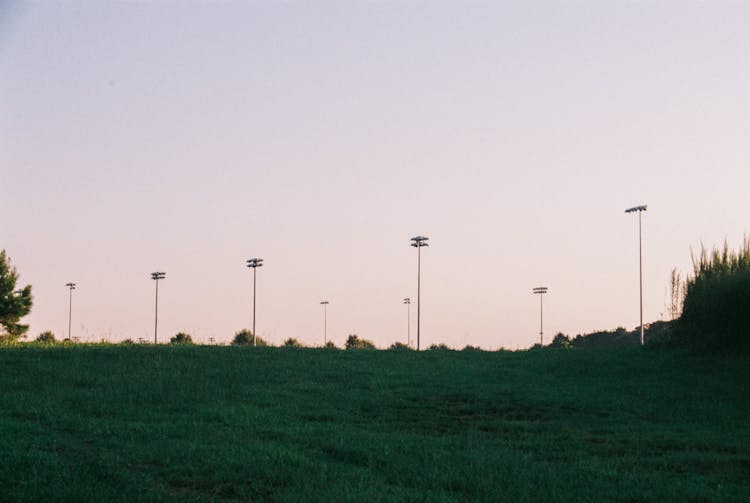 Street Lights In Green Field