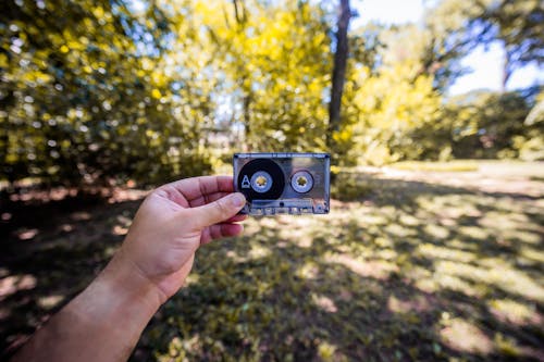 бесплатная Бесплатное стоковое фото с деревья, держать, записывающее устройство Стоковое фото