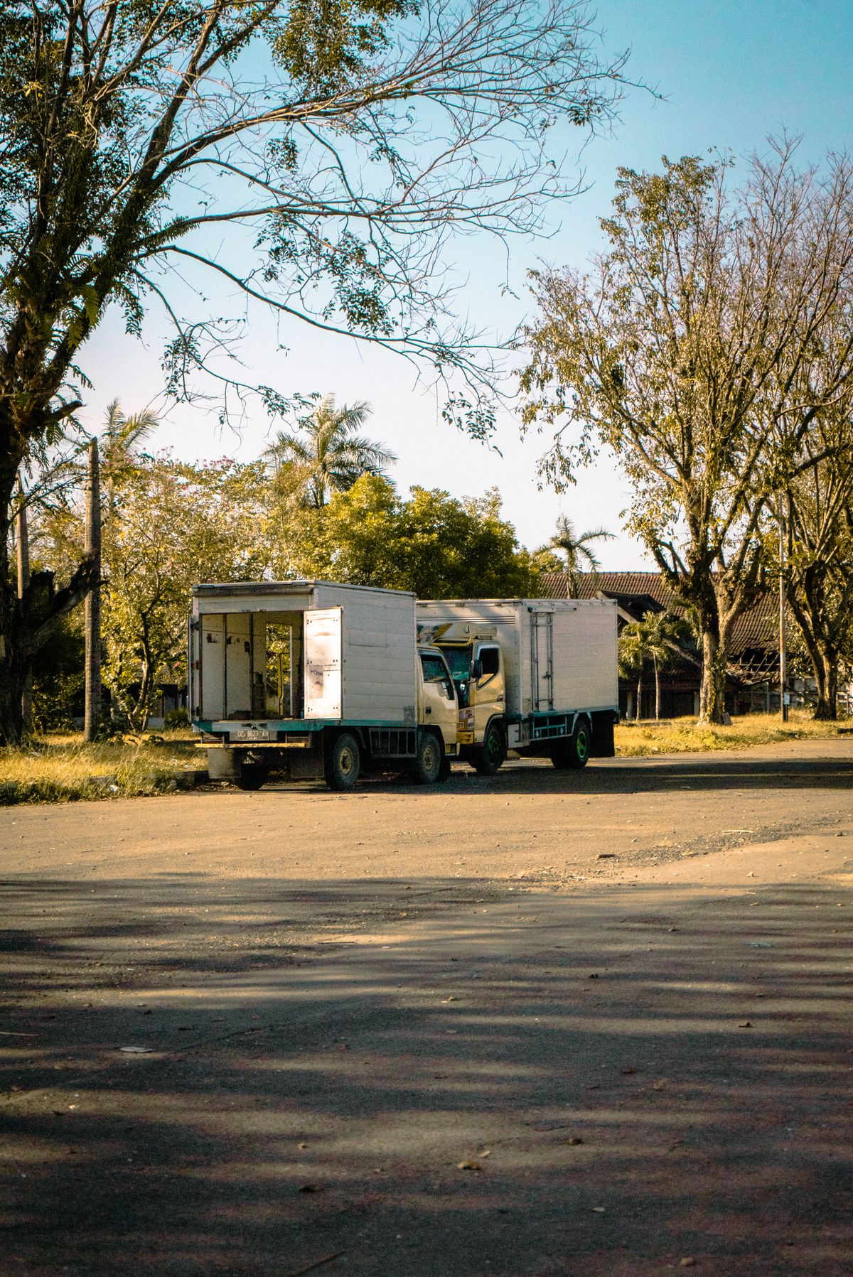Two commercial box lorries parked on a tree-lined road in Makassar, Indonesia