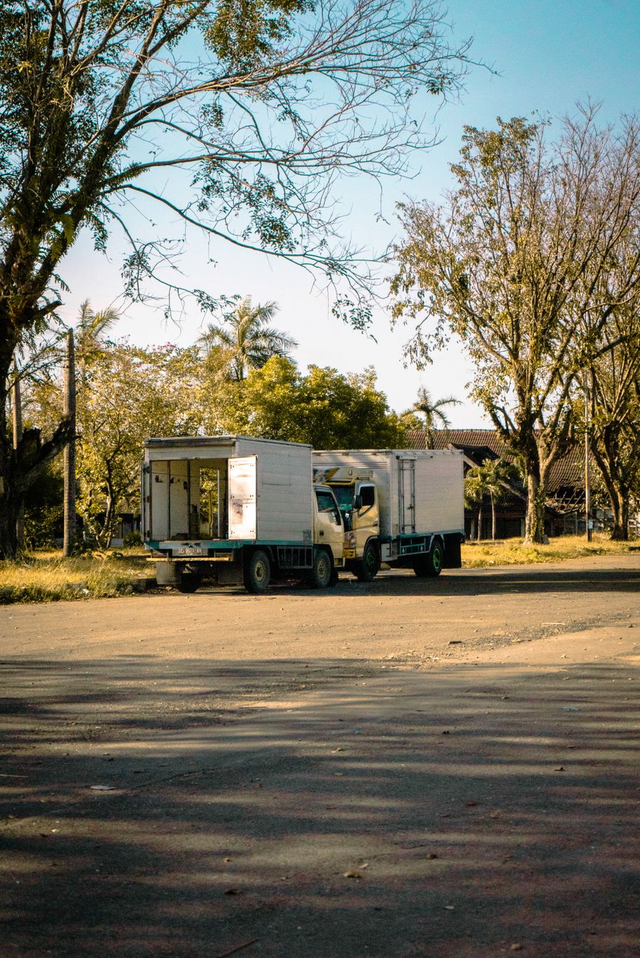 Cargo trucks on the road